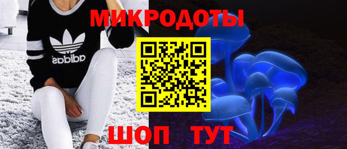 Избербаш  Галлюциногенные грибы Psilocybe  Вход с VPN  Галлюциногенные грибы мицелий 
